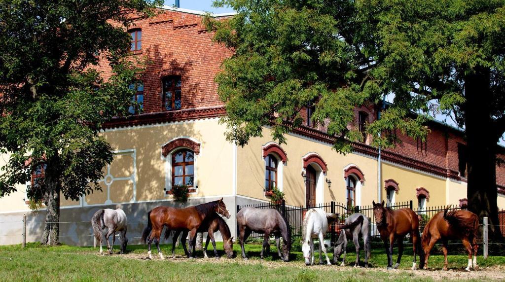 Pension Rothschilduv Dvur Vila Bělá Exterior foto